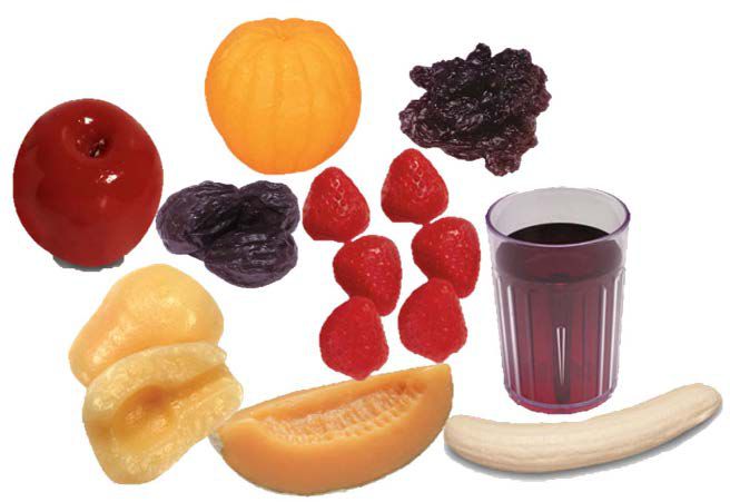 Fruit Food Models Kit